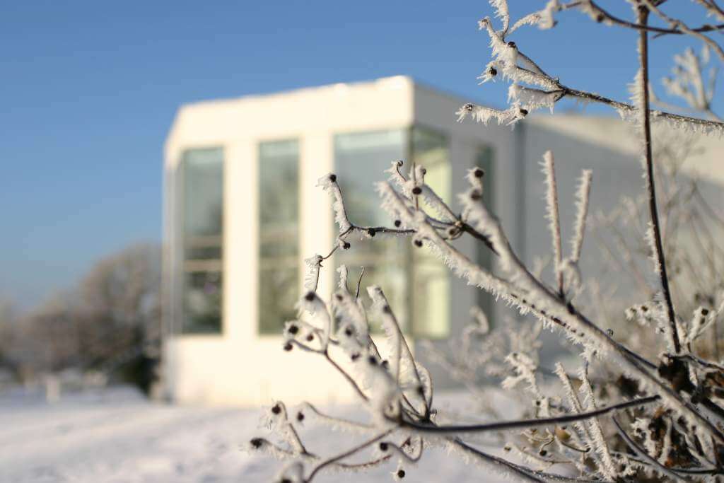 Vinter på ©Trapholt